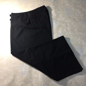 Express Wide Leg Crop Dress Up Pants